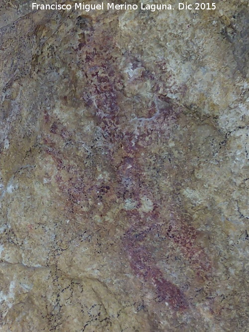 Pinturas rupestres de la Cueva de la Graja-Grupo XVII - Pinturas rupestres de la Cueva de la Graja-Grupo XVII. 