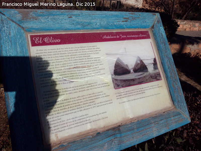 Museo al arire libre de Fontanar - Museo al arire libre de Fontanar. El olivo