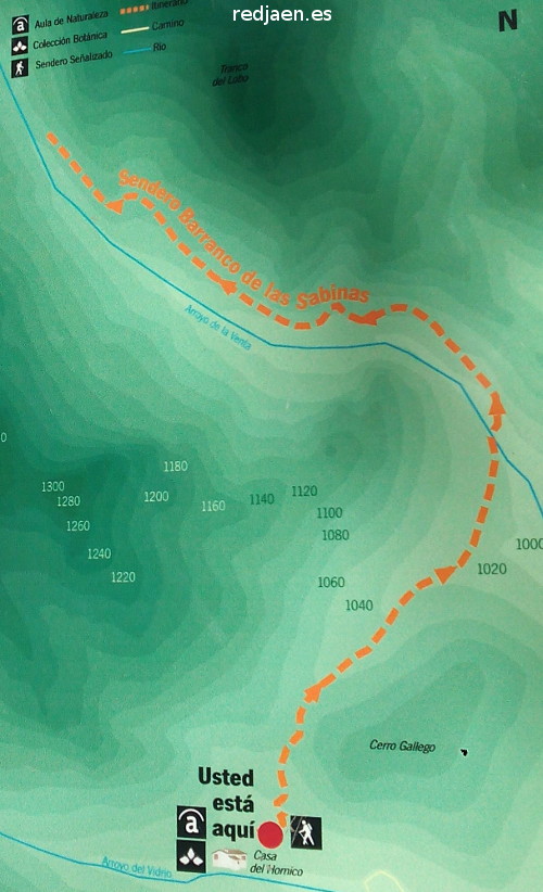 Barranco de las Sabinas - Barranco de las Sabinas. Mapa