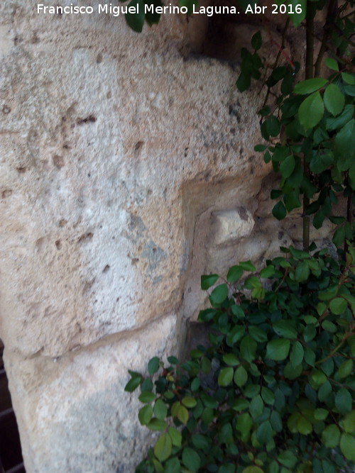 Fuente del Rey - Fuente del Rey. Resto de friso escondido por un rosal a extramuros