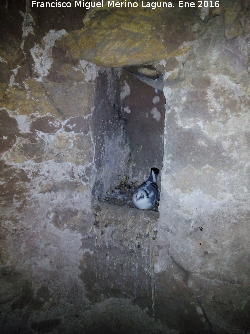 Molino de los Tajos de San Marcos - Molino de los Tajos de San Marcos. 