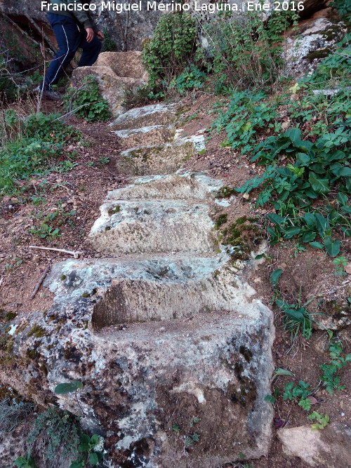 Abrigo del Carnero - Abrigo del Carnero. Escaleras talladas