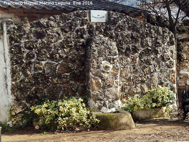 Fuente de Caada Aranda - Fuente de Caada Aranda. 