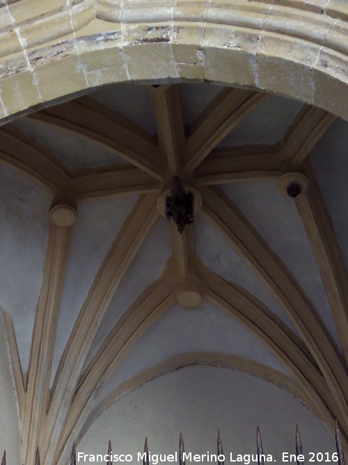 Catedral de Baeza. Capilla de la Custodia - Catedral de Baeza. Capilla de la Custodia. Bveda nervada