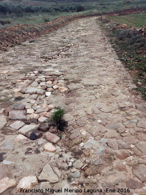 Calzada de las Veguillas - Calzada de las Veguillas. 