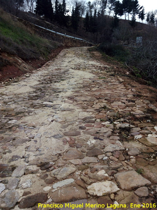 Calzada de las Veguillas - Calzada de las Veguillas. 