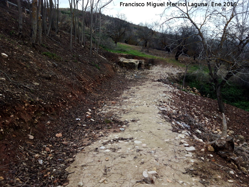 Fuente la Cruz - Fuente la Cruz. Camino