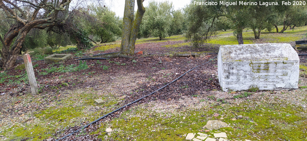 Fuente de Torrequebrada - Fuente de Torrequebrada. Registro y alcoba de aguas sobrantes