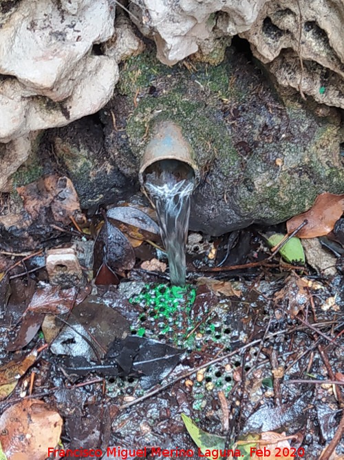 Fuente de Torrequebrada - Fuente de Torrequebrada. Cao