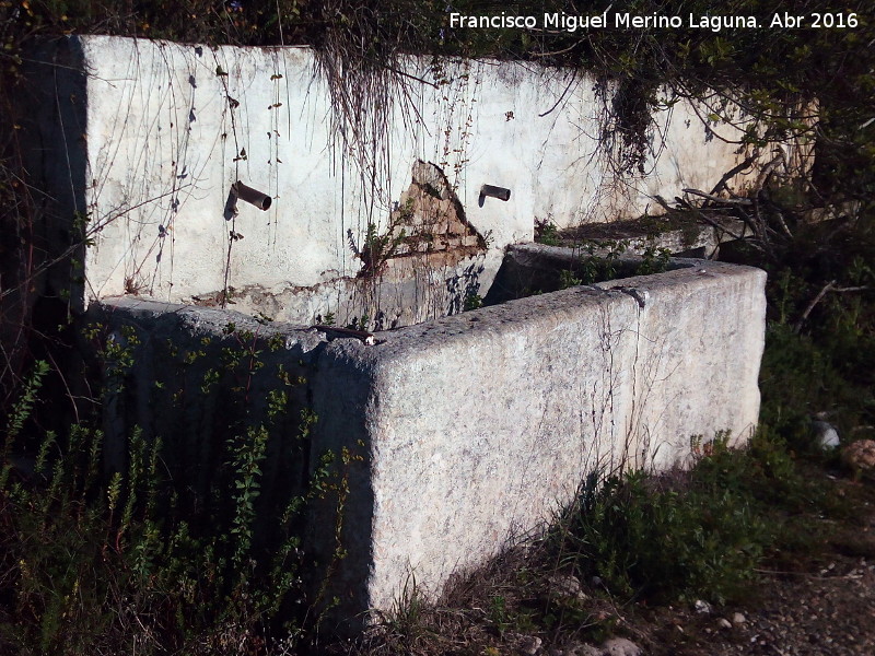 Fuente del Gato - Fuente del Gato. Pilar