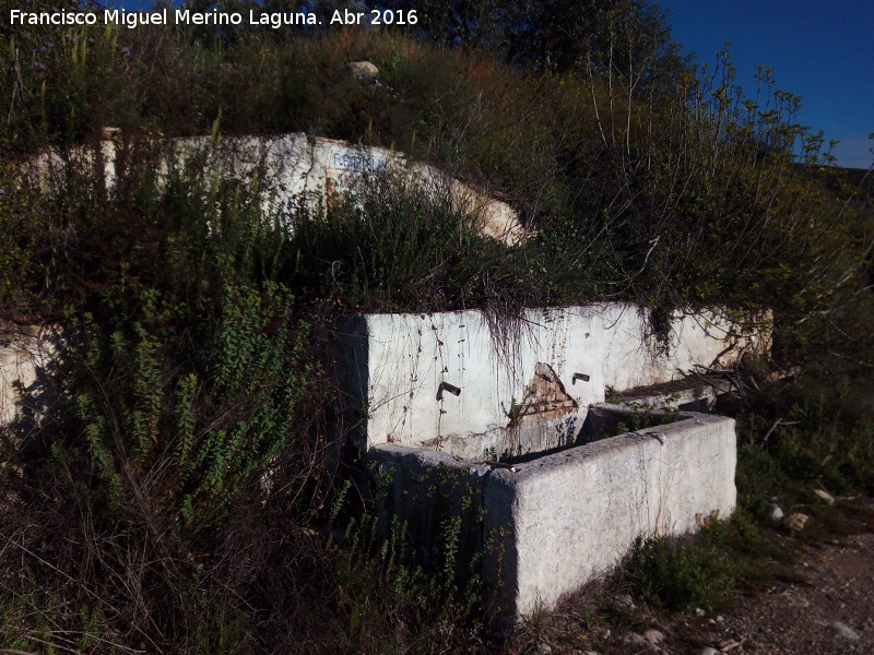 Fuente del Gato - Fuente del Gato. 