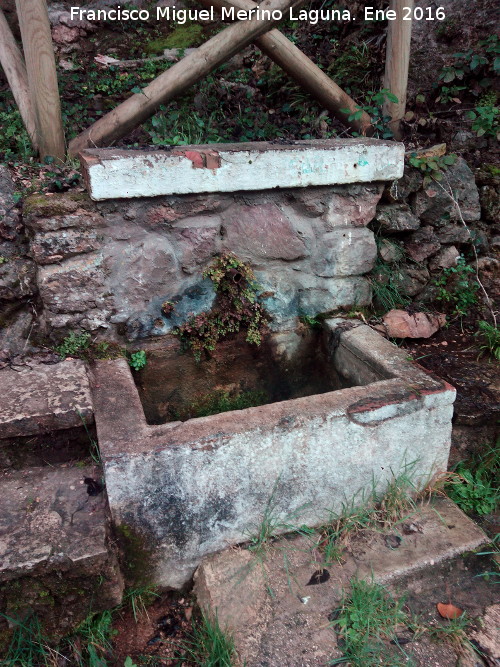 Fuente del Charco de la Pringue - Fuente del Charco de la Pringue. 