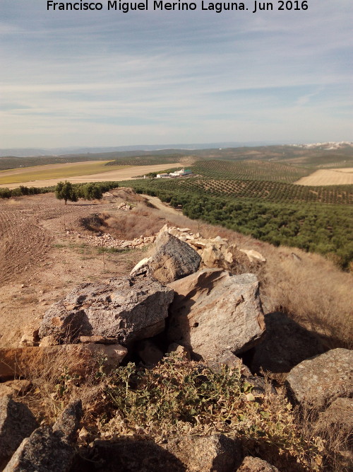 Recinto fortificado de Pachena - Recinto fortificado de Pachena. Vistas hacia el Cortijo Pachena