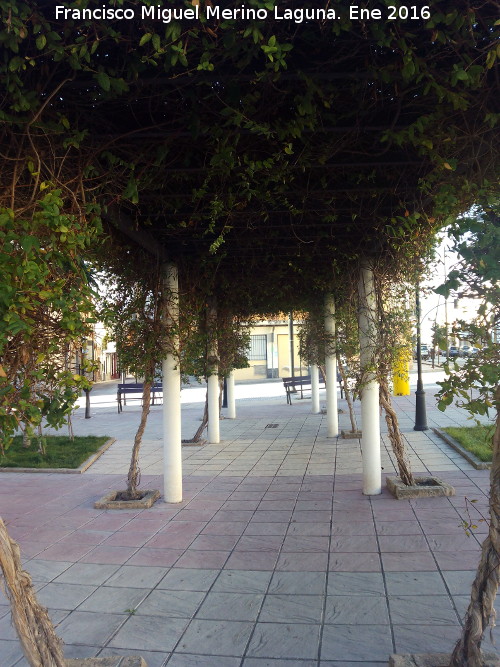Plaza de la Plancha - Plaza de la Plancha. 