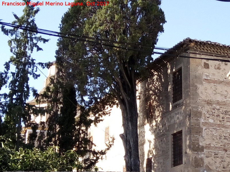 Convento de San Jos - Convento de San Jos. Parte trasera