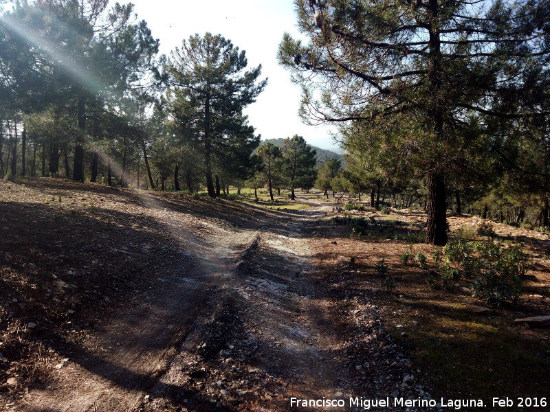 Camino de las Minas - Camino de las Minas. 