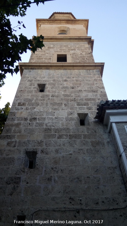 Iglesia de la Concepcin - Iglesia de la Concepcin. Torre de los Pastores