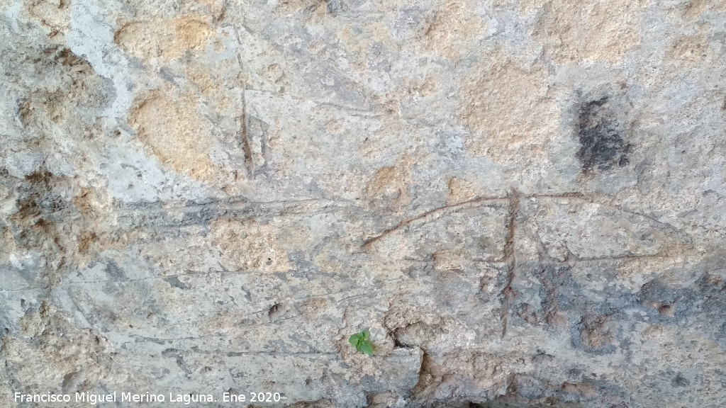 Castillo de Oti�ar. Aljibe - Castillo de Oti�ar. Aljibe. Ballestas