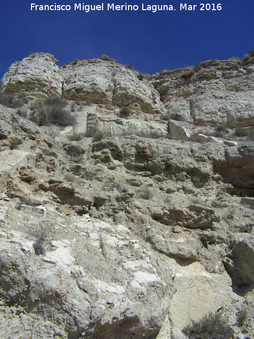 Castelln Alto. Ladera Este - Castelln Alto. Ladera Este. 