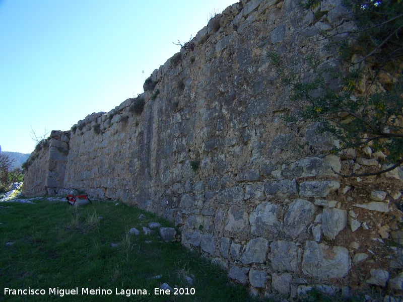 Castillo de Otiar. Muralla Oeste - Castillo de Otiar. Muralla Oeste. Intramuros