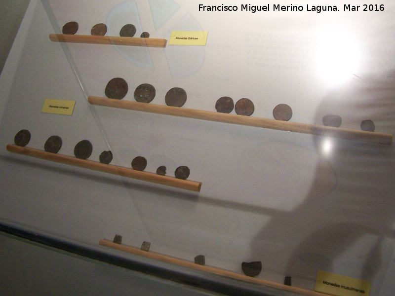 Museo Arqueolgico de Galera - Museo Arqueolgico de Galera. Monedas iberas y romanas