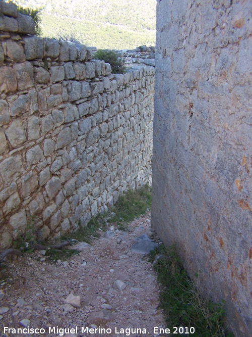 Castillo de Otiar. Muralla del Alcazarejo - Castillo de Otiar. Muralla del Alcazarejo. Intramuros