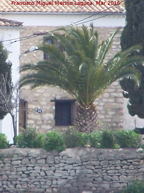 Cortijo de la Torrecilla de Monsalve - Cortijo de la Torrecilla de Monsalve. Edificacin de piedra vista