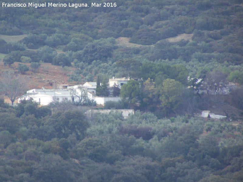 Cortijo de Torrihuela - Cortijo de Torrihuela. 