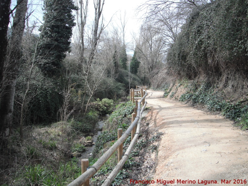 Sendero del Susana - Sendero del Susana. 