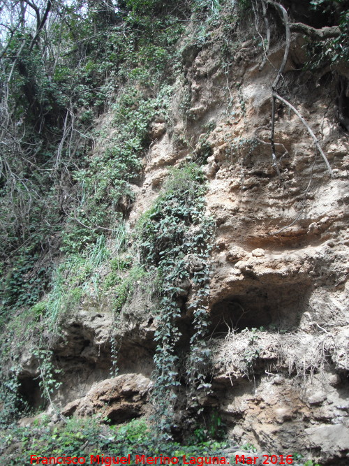 Sendero del Susana - Sendero del Susana. Paredes rocosas del can