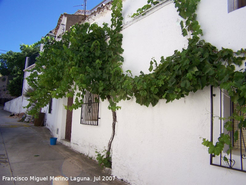 Segura de la Sierra - Segura de la Sierra. Casa tpica serrana con la parra a modo de porche