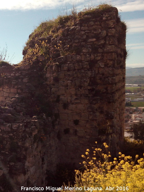 La Mota. Torren de Santo Domingo II - La Mota. Torren de Santo Domingo II. 