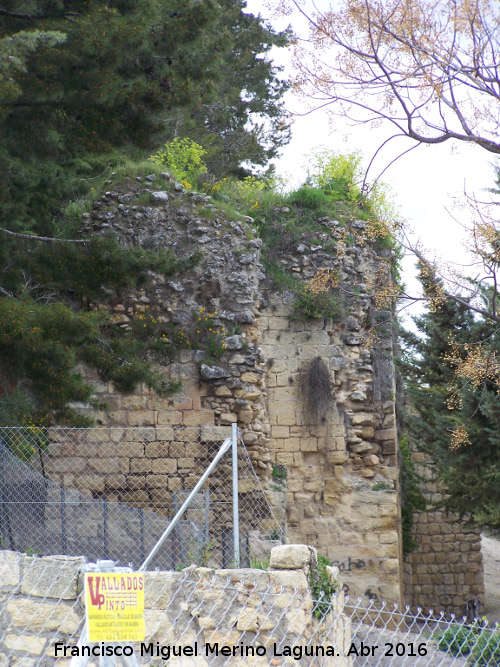 La Mota. Torren de Santo Domingo VII - La Mota. Torren de Santo Domingo VII. 