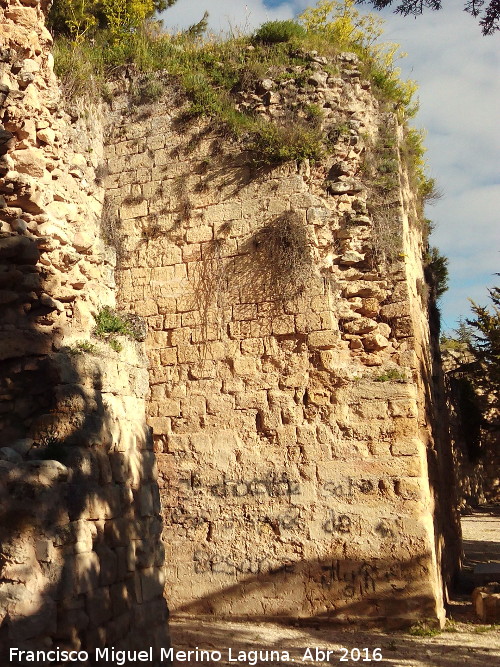 La Mota. Torren de Santo Domingo VIII - La Mota. Torren de Santo Domingo VIII. 