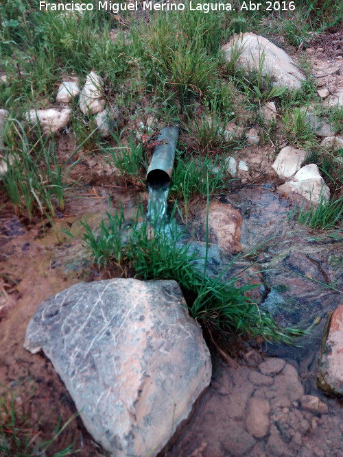 Fuente del Arroyo del Portichuelo - Fuente del Arroyo del Portichuelo. 