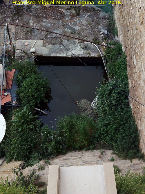 Alberca de San Lorenzo - Alberca de San Lorenzo. 