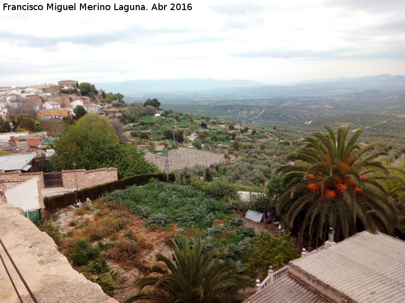 Huertas de beda - Huertas de beda. Desde la Muralla de San Lorenzo