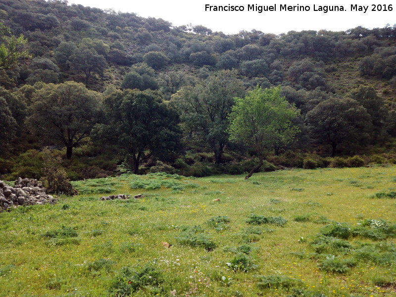 Capacho de la Calera - Capacho de la Calera. 