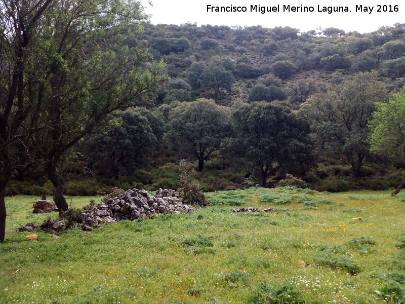 Capacho de la Calera - Capacho de la Calera. 