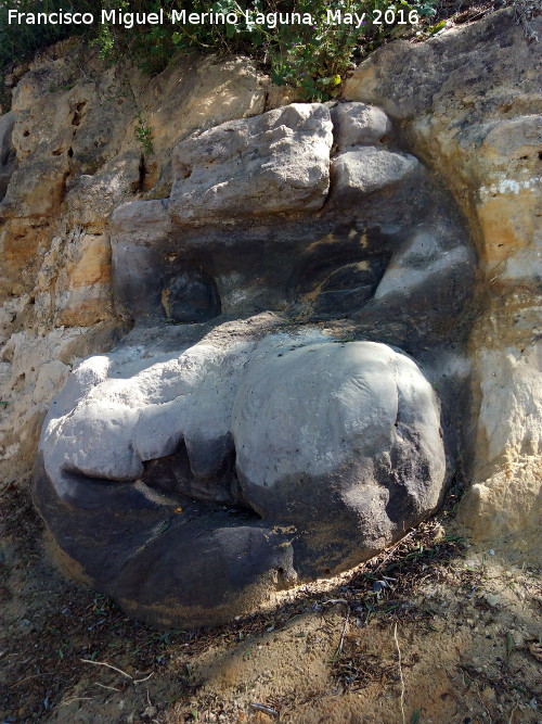 Caras de Baeza - Caras de Baeza. 