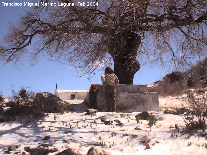 Fuente de la Ermita - Fuente de la Ermita. 