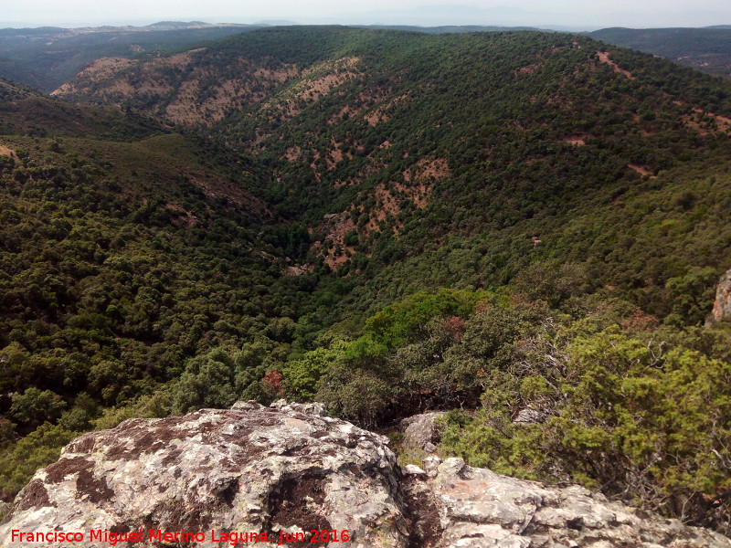 Arroyo del Rey - Arroyo del Rey. 