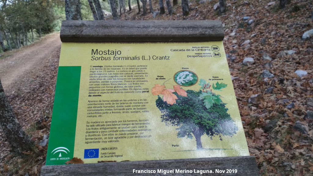 Mostajo - Mostajo. Cartel. Aldeaquemada