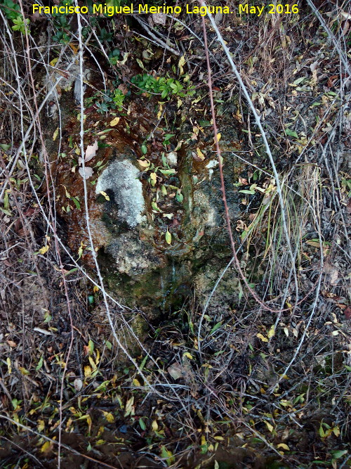 Fuente de la Rata - Fuente de la Rata. 