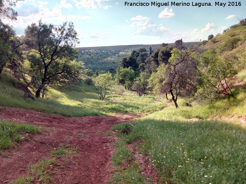 Arroyo del Hondillo - Arroyo del Hondillo. Paraje