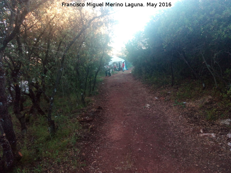 Camino del Rosal a la Estrella - Camino del Rosal a la Estrella. 