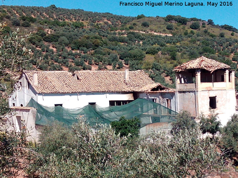 Cortijo de la Caavera - Cortijo de la Caavera. Patio