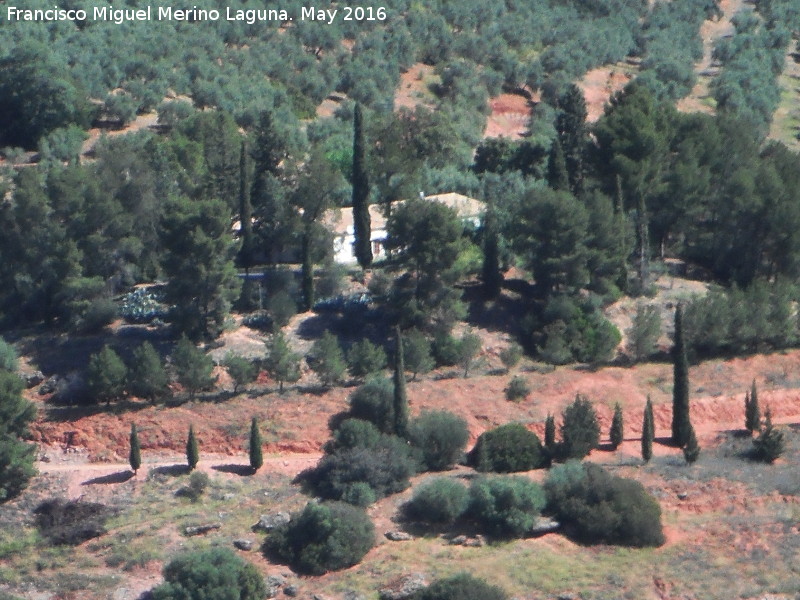 Cortijo del Cerrillo - Cortijo del Cerrillo. 