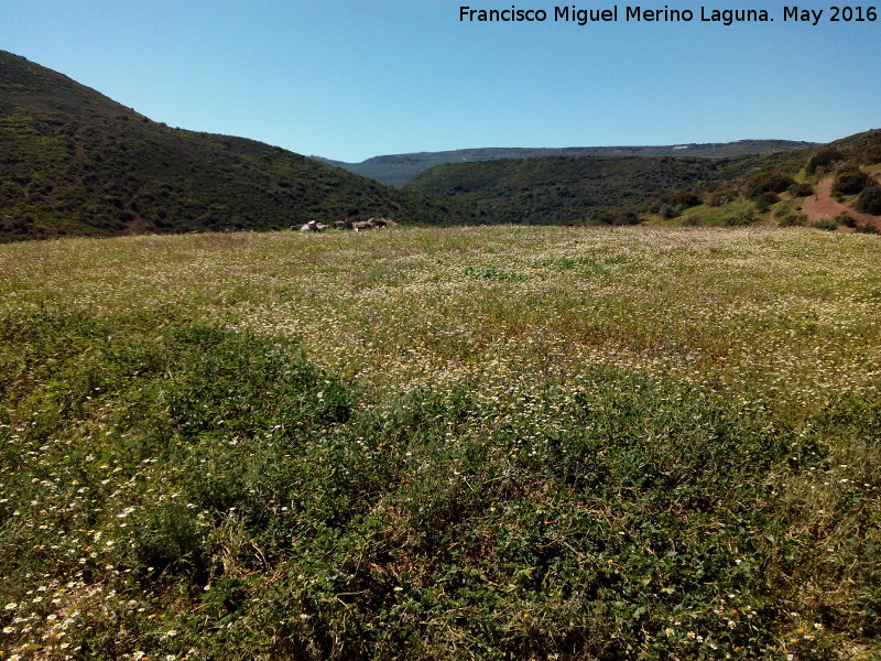 Era de Montefuerte - Era de Montefuerte. 