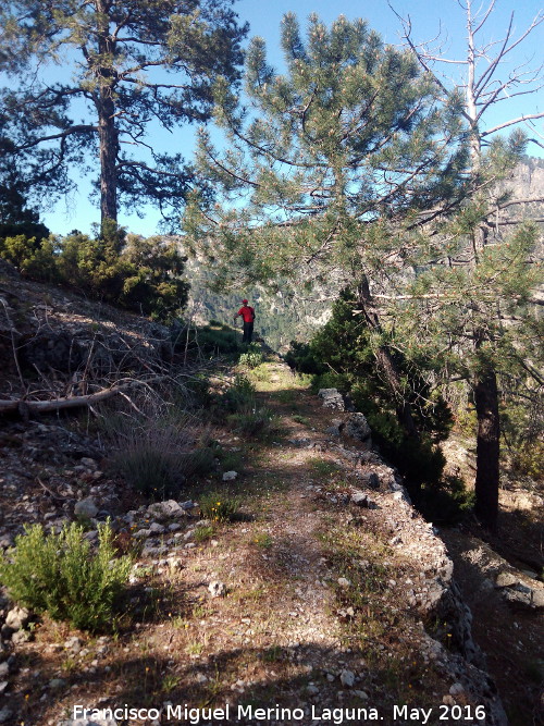 Camino de herradura del Banderillas - Camino de herradura del Banderillas. 